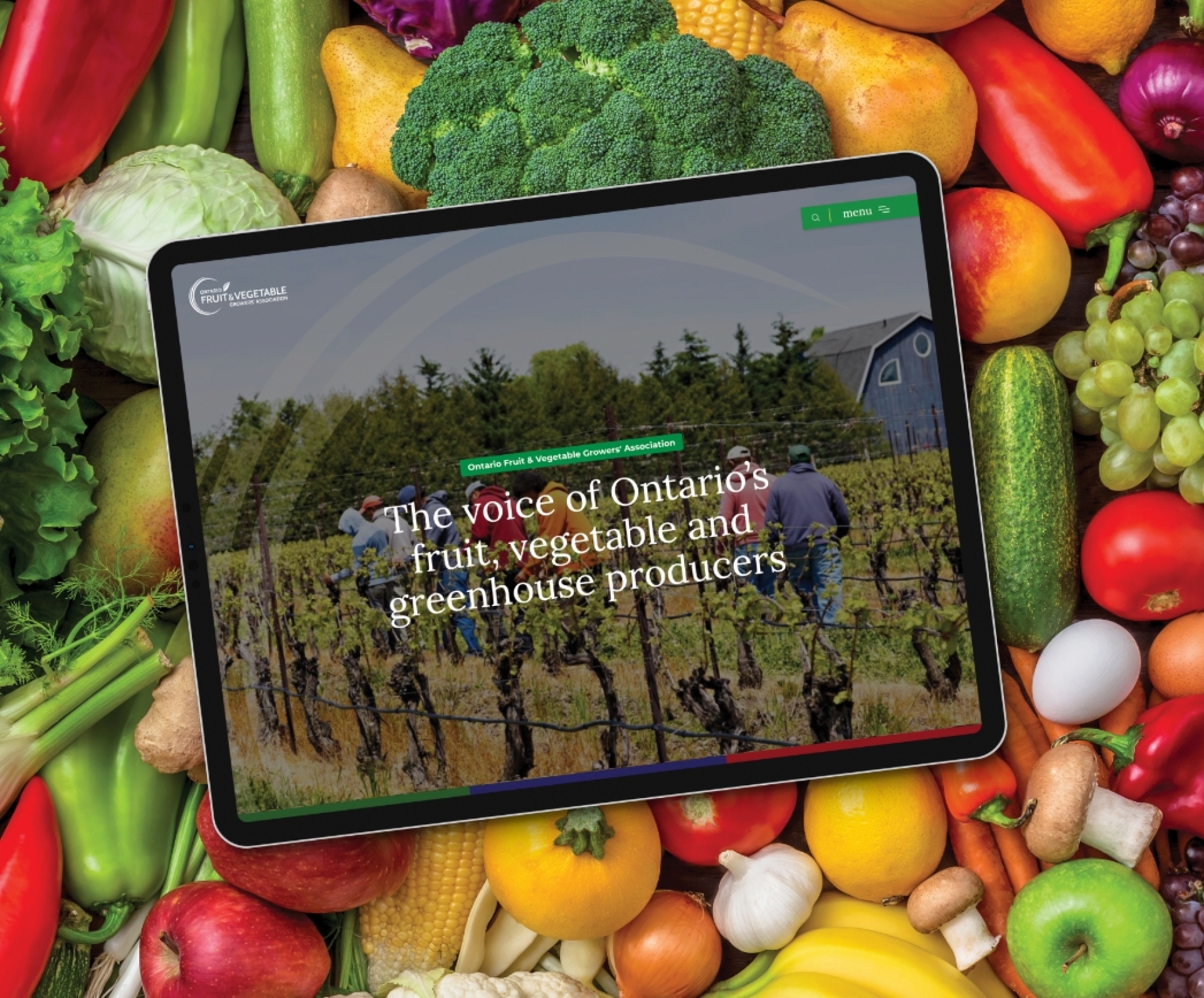OFVGA website design homepage shown on a tablet screen with fruits and vegetables in the background