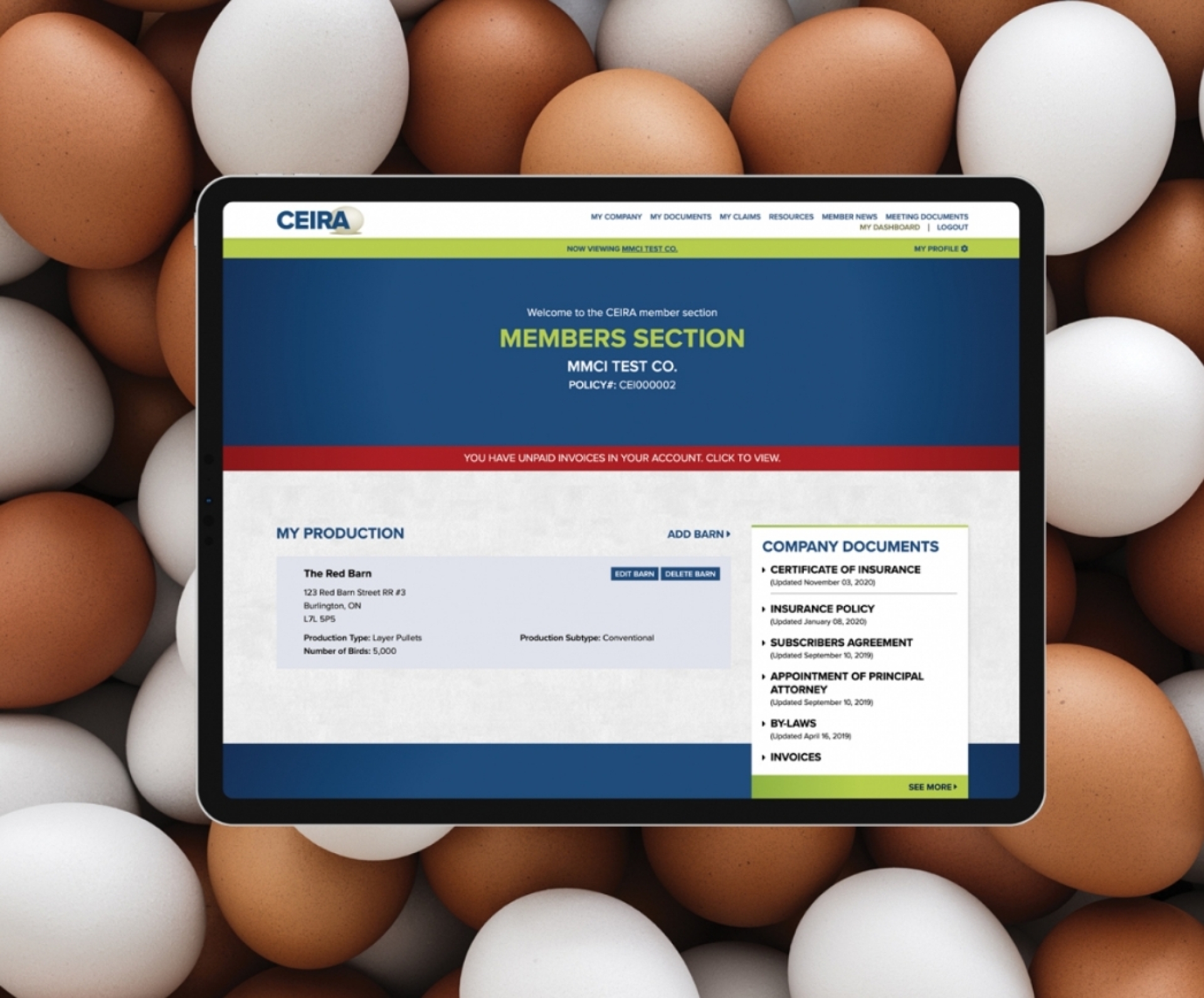 Ceira website design shown on a tablet screen with eggs in the background
