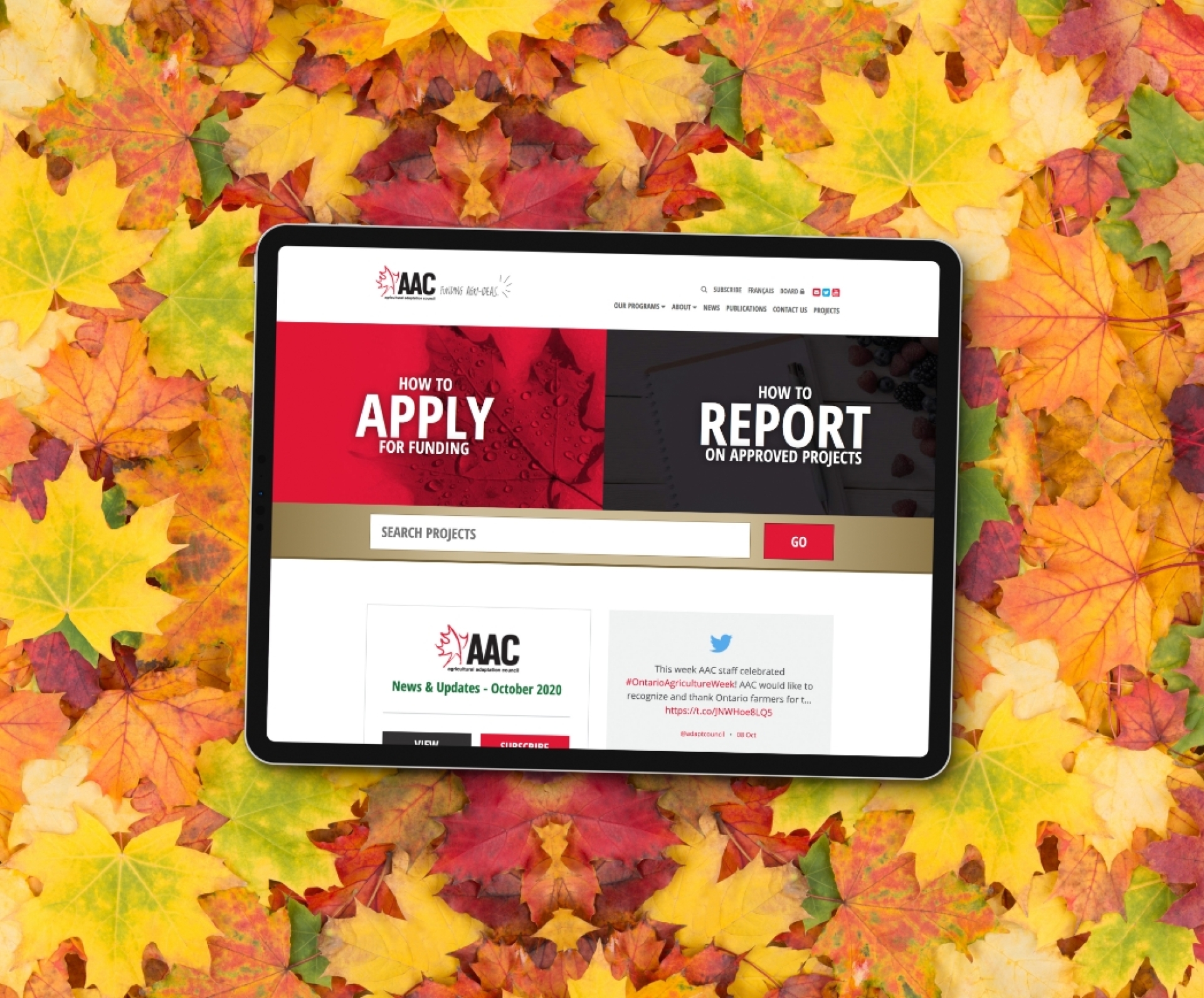 AAC website homepage design on a tablet with autumn leaves in the background