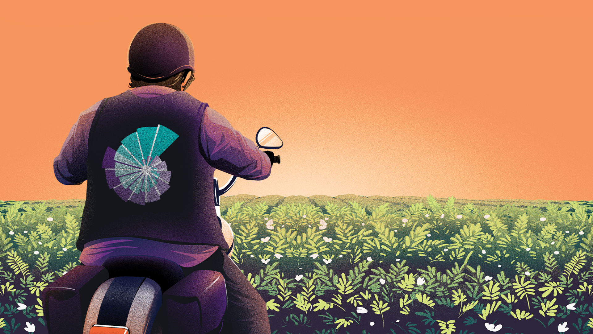 A graphic illustration created for Syngenta