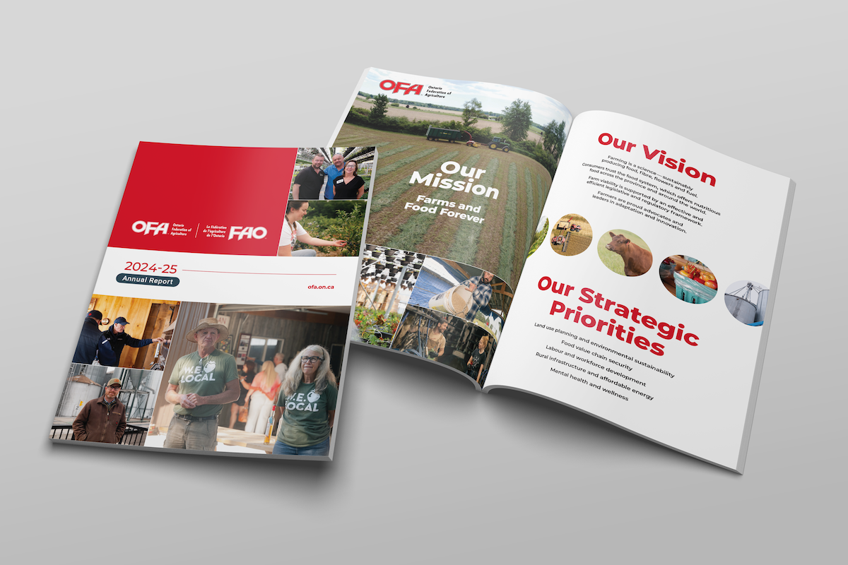 AdobeStock 250477828 OFA Annual Report 