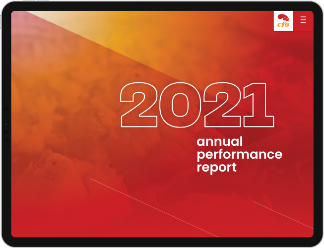 CFO 2021 annual report website design homepage_