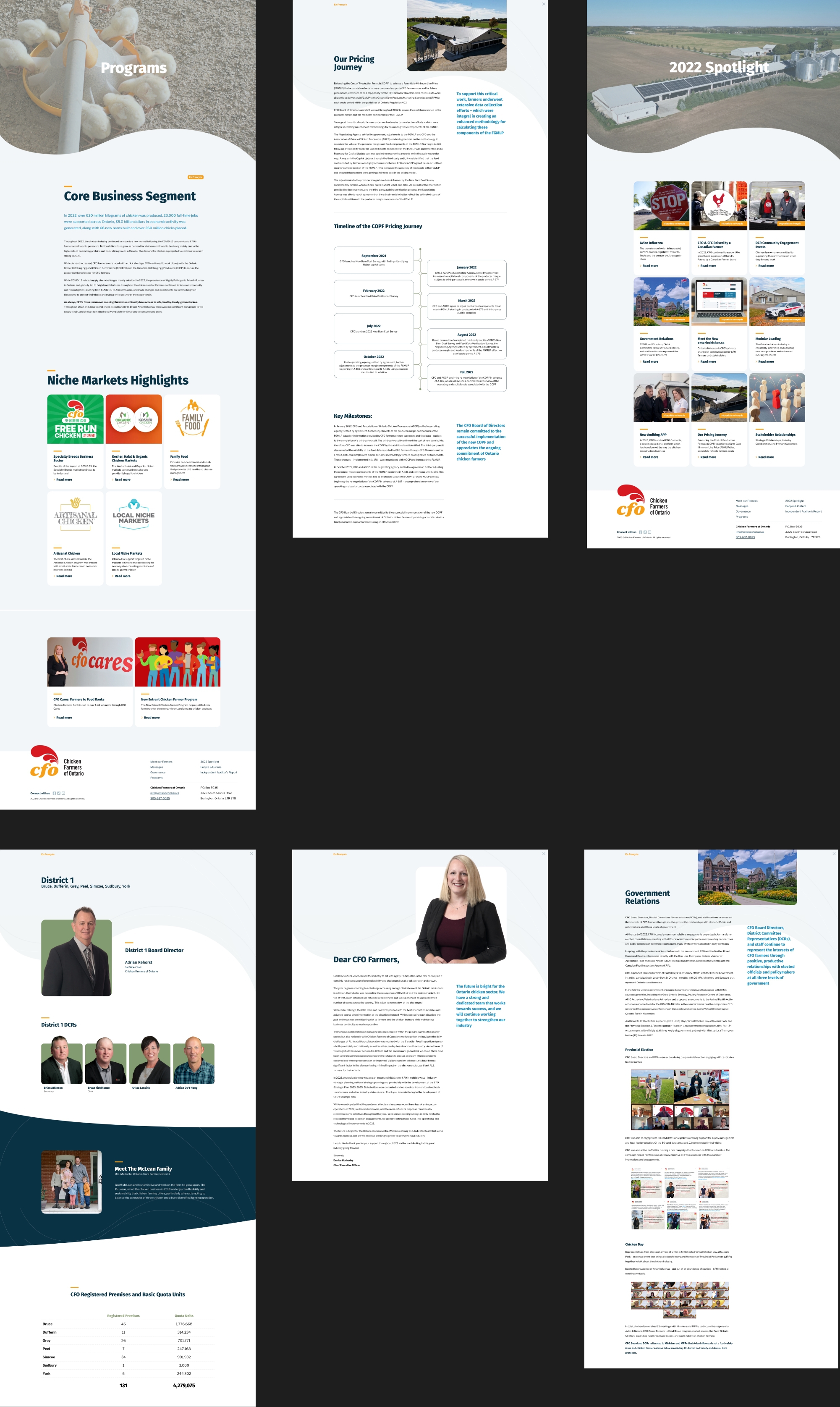 CFO annual report webpages collage_