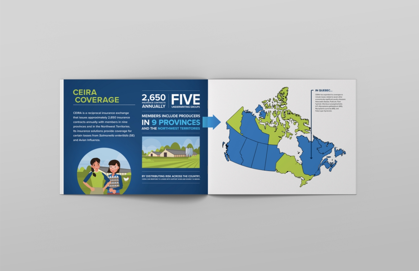 Ceira creative marketing campaign booklet 