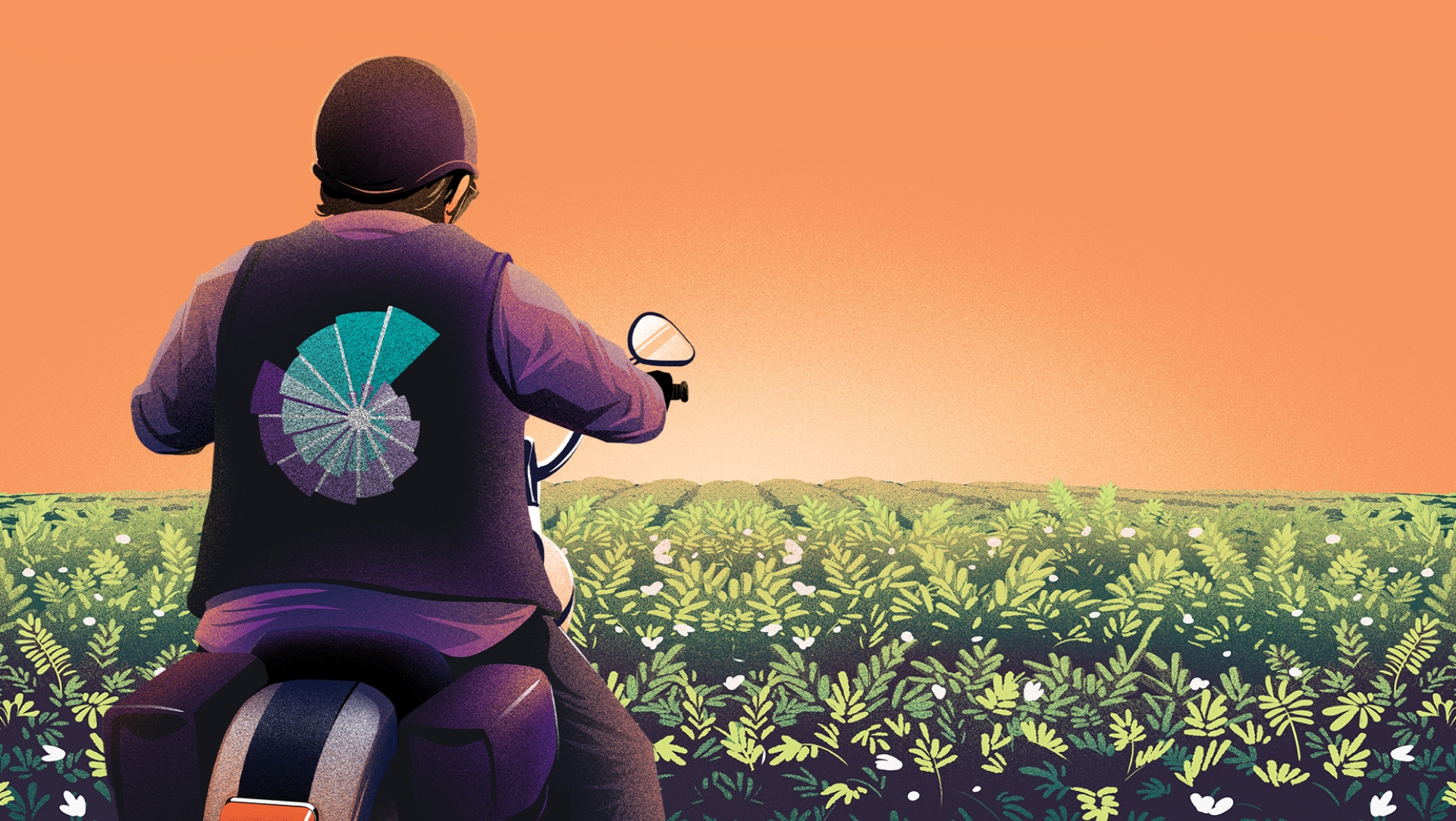 Illustration of a man on a motorcycle facing a field