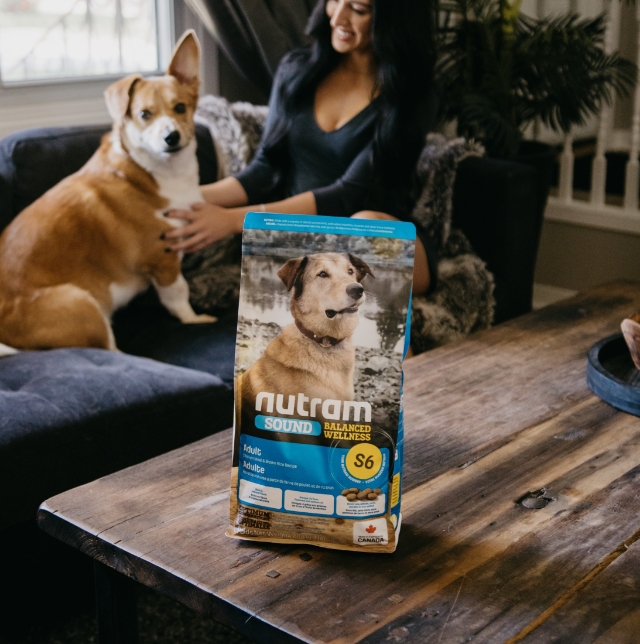 Nutram social media marketing photography dog and woman on the couch with a bag of nutram on the table