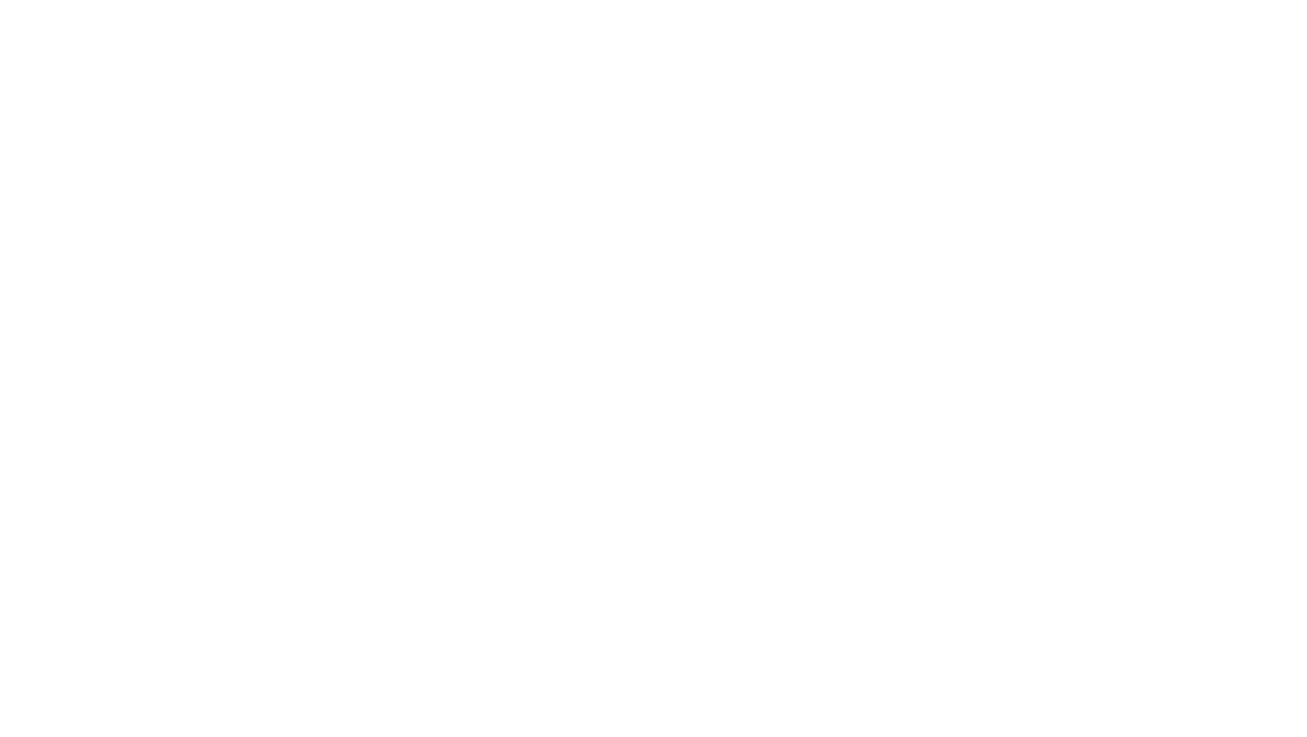 Vanden Bussche Logo