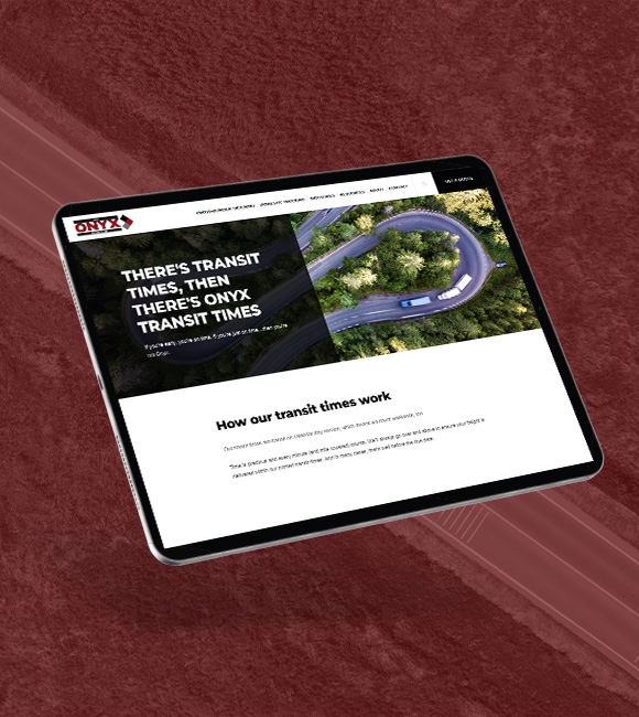 04 Onyx website