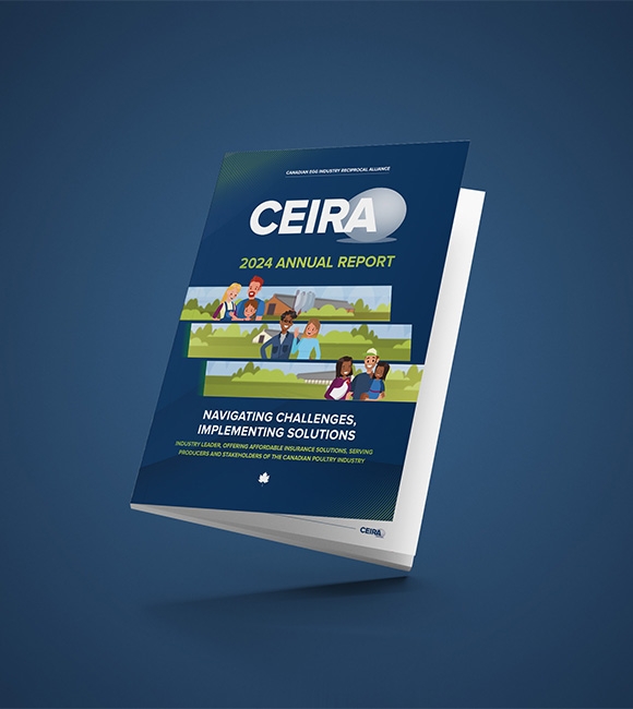 09 CEIRA annual report hover