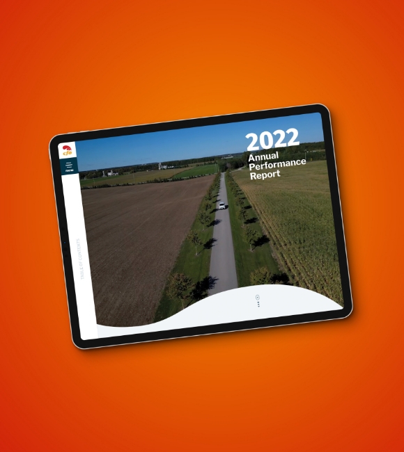CFO annual report website design and development thumb